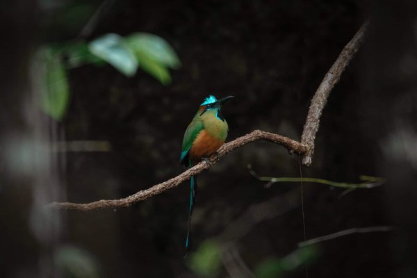 Comment rédiger un guide de bonnes pratiques pour l'accueil des nouveaux employés à distance ?